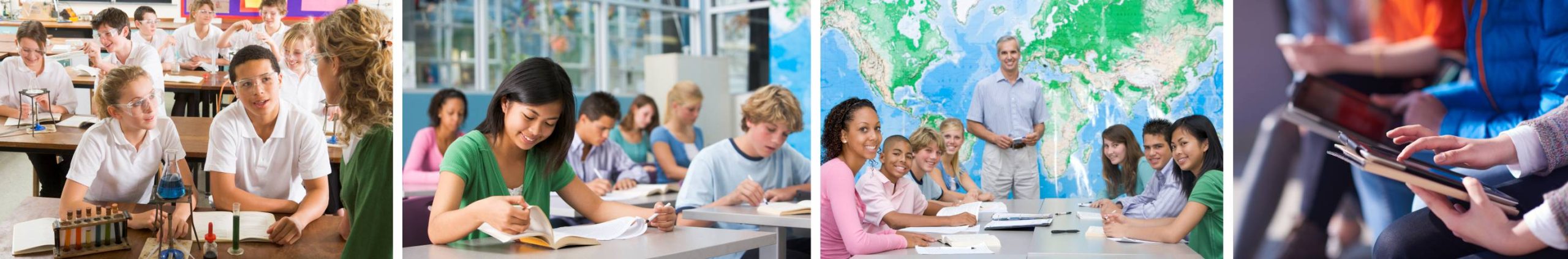 school curriculum educational and learning assessment consultant